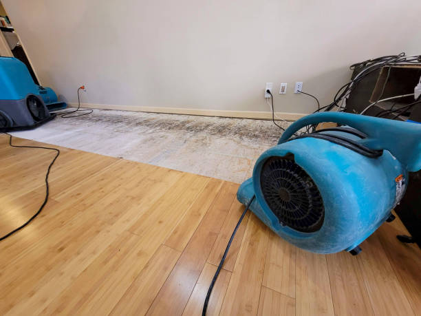 Professional Water Extraction technician working in Ashfield, MA